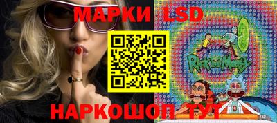 ешки Сланцы