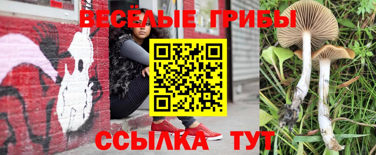 Псилоцибиновые грибы GOLDEN TEACHER  Псилоцибиновые грибы Cubensis  Белогорск  Вход с VPN 